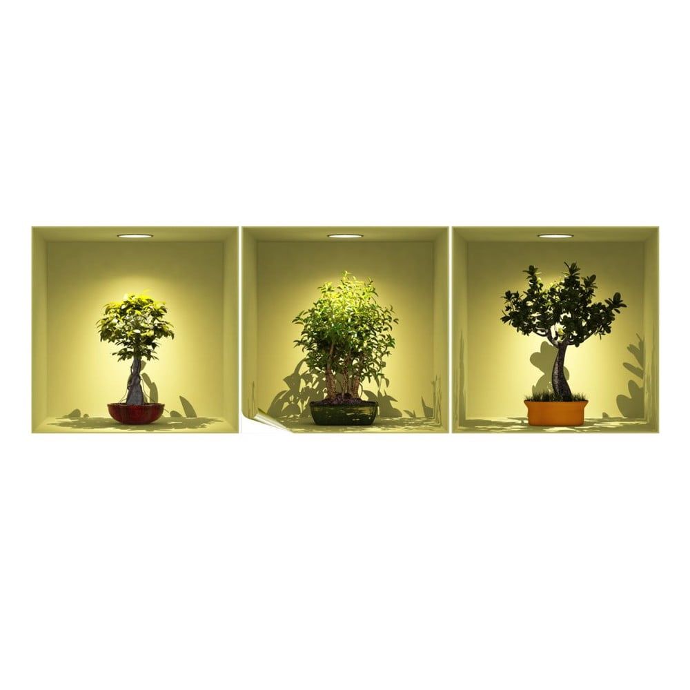 Sada 3 samolepiek s 3D efektom Ambiance Bonsai Trees On Spot - Bonami.sk