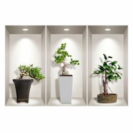 Sada 3 3D samolepiek na stenu Ambiance Bonsai Plants