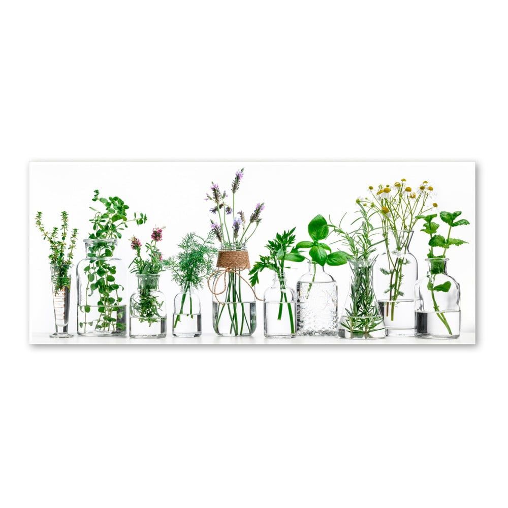 Obraz Styler Glasspik Herbs, 30 × 80 cm - Bonami.sk