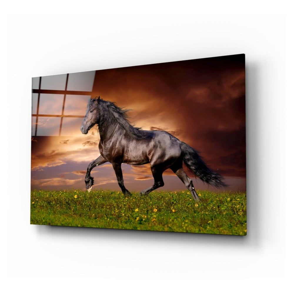 Sklenený obraz Insigne Nobility of the Horse, 110 x 70 cm - Bonami.sk