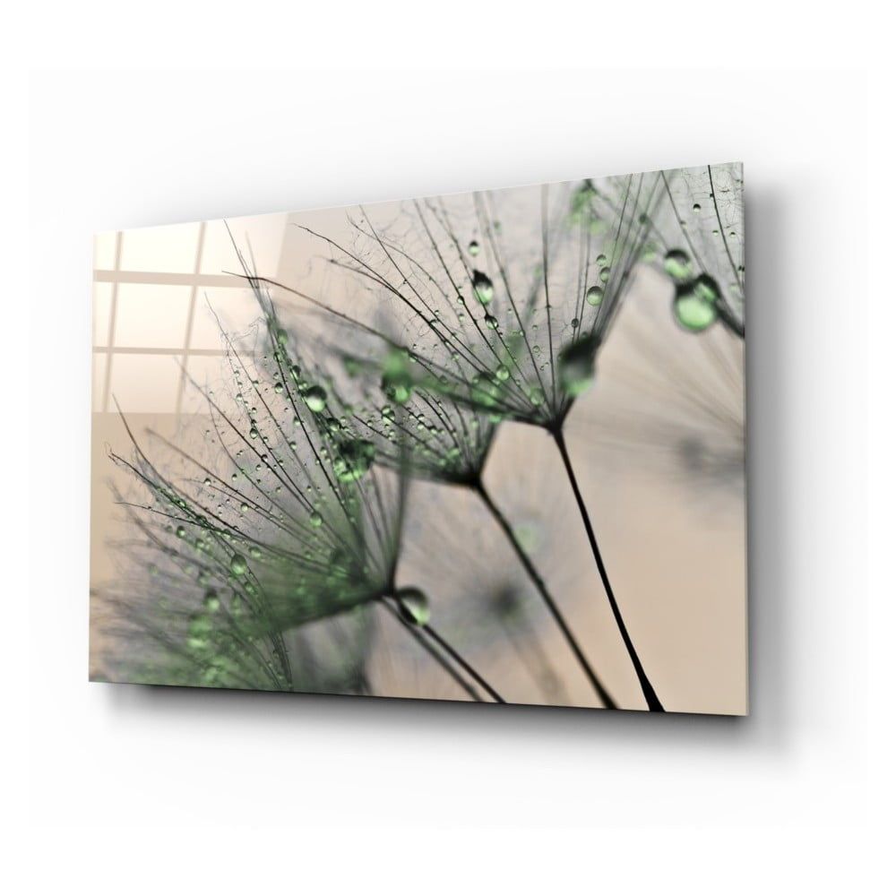 Sklenený obraz Insigne Green Dandelion, 72 x 46 cm - Bonami.sk