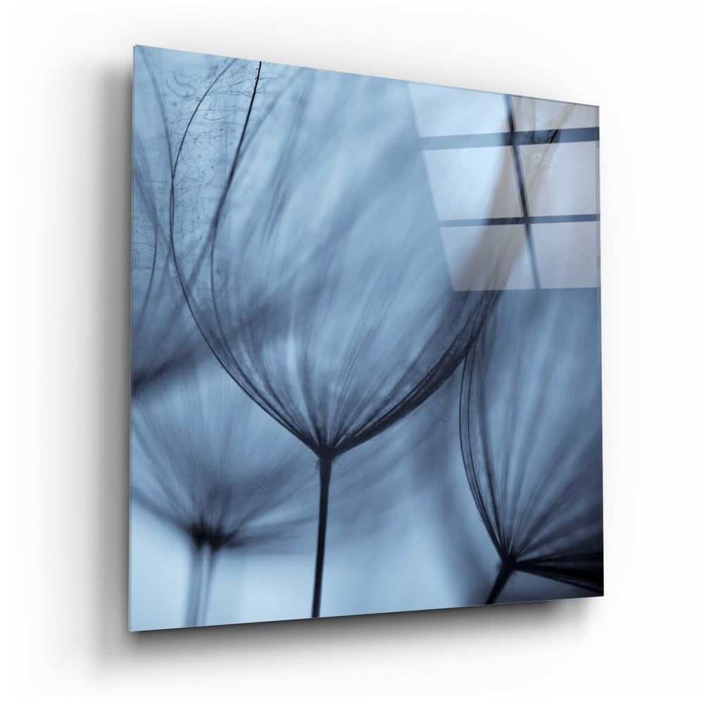 Sklenený obraz Insigne Dandelion Serenity, 40 x 40 cm - Bonami.sk