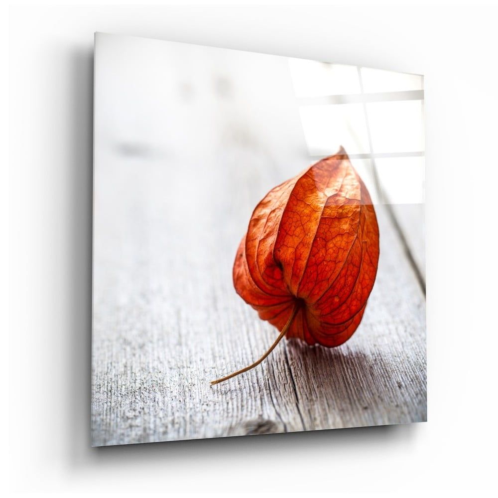 Sklenený obraz Insigne Dry Leaf, 40 x 40 cm - Bonami.sk