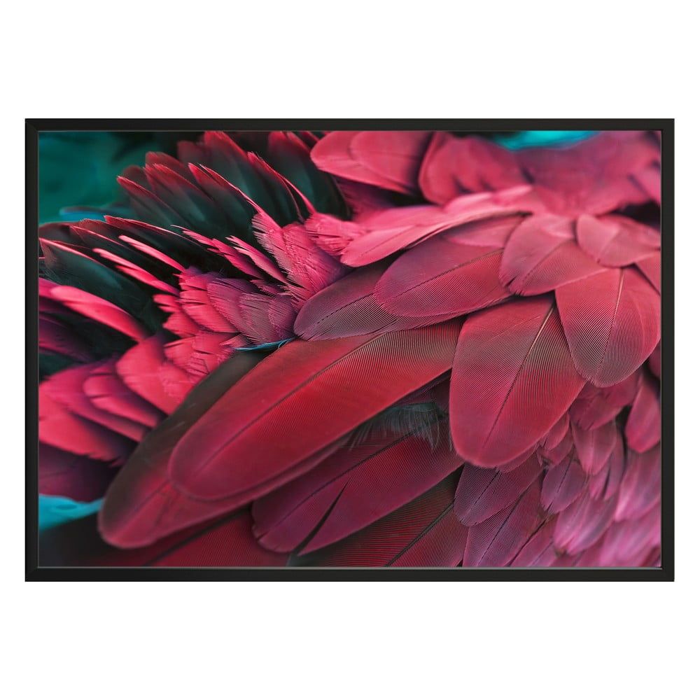 Plagát DecoKing Feathers Red, 50 x 40 cm - Bonami.sk