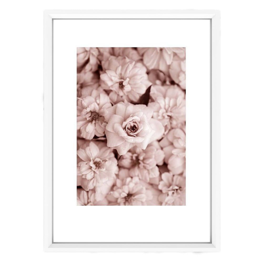 Obraz Piacenza Art Roses In Rosé, 30 × 20 cm - Bonami.sk