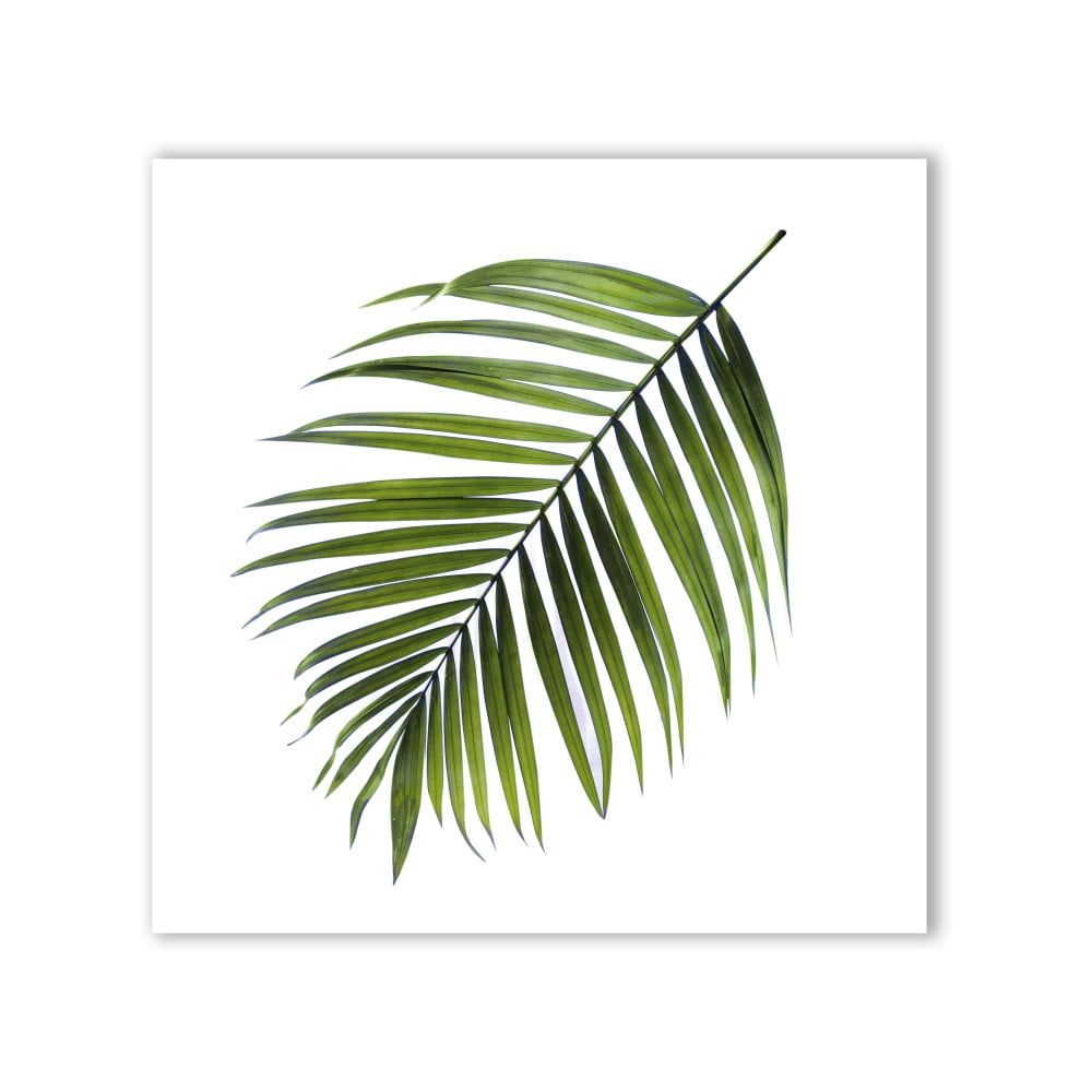Obraz Styler Canvas Greenery Black Palm, 32 x 32 cm - Bonami.sk