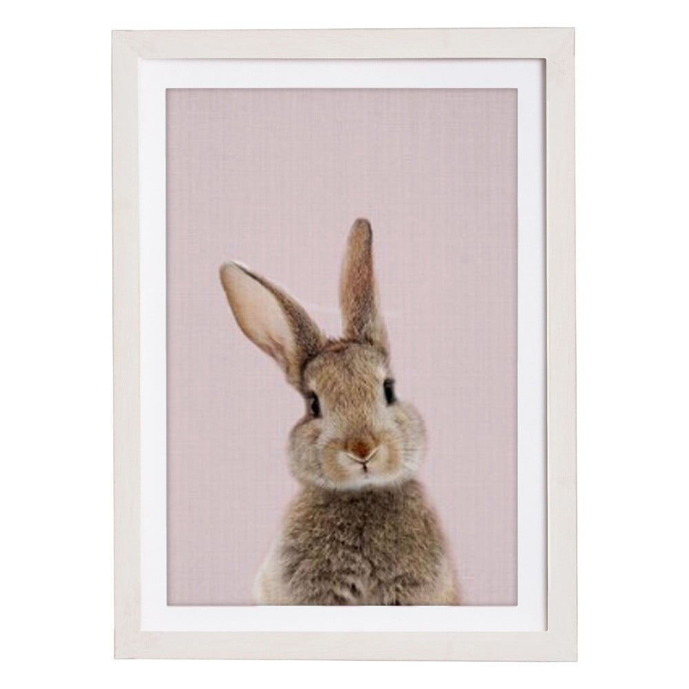 Nástenný obraz v ráme Querido Bestiario Baby Rabbit, 30 x 40 cm - Bonami.sk