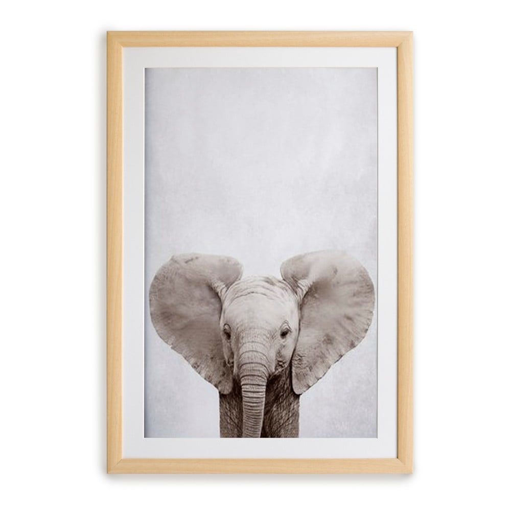 Nástenný obraz v ráme Surdic Elephant, 30 x 40 cm - Bonami.sk