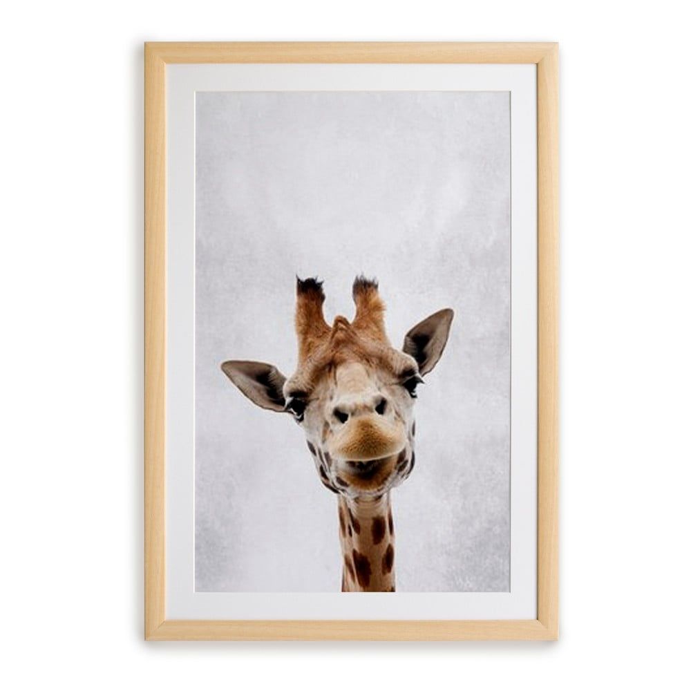 Nástenný obraz v ráme Surdic Giraffe, 30 x 40 cm - Bonami.sk