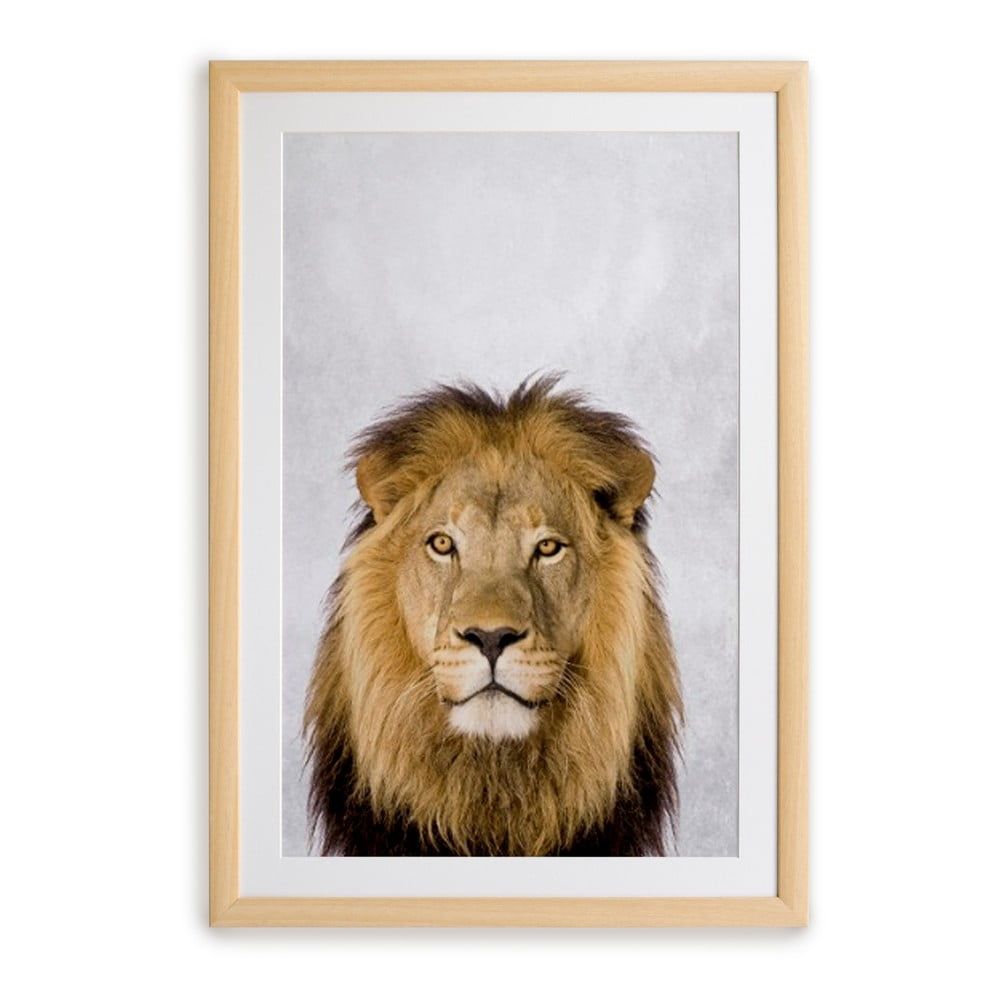 Nástenný obraz v ráme Surdic Lion, 30 x 40 cm - Bonami.sk