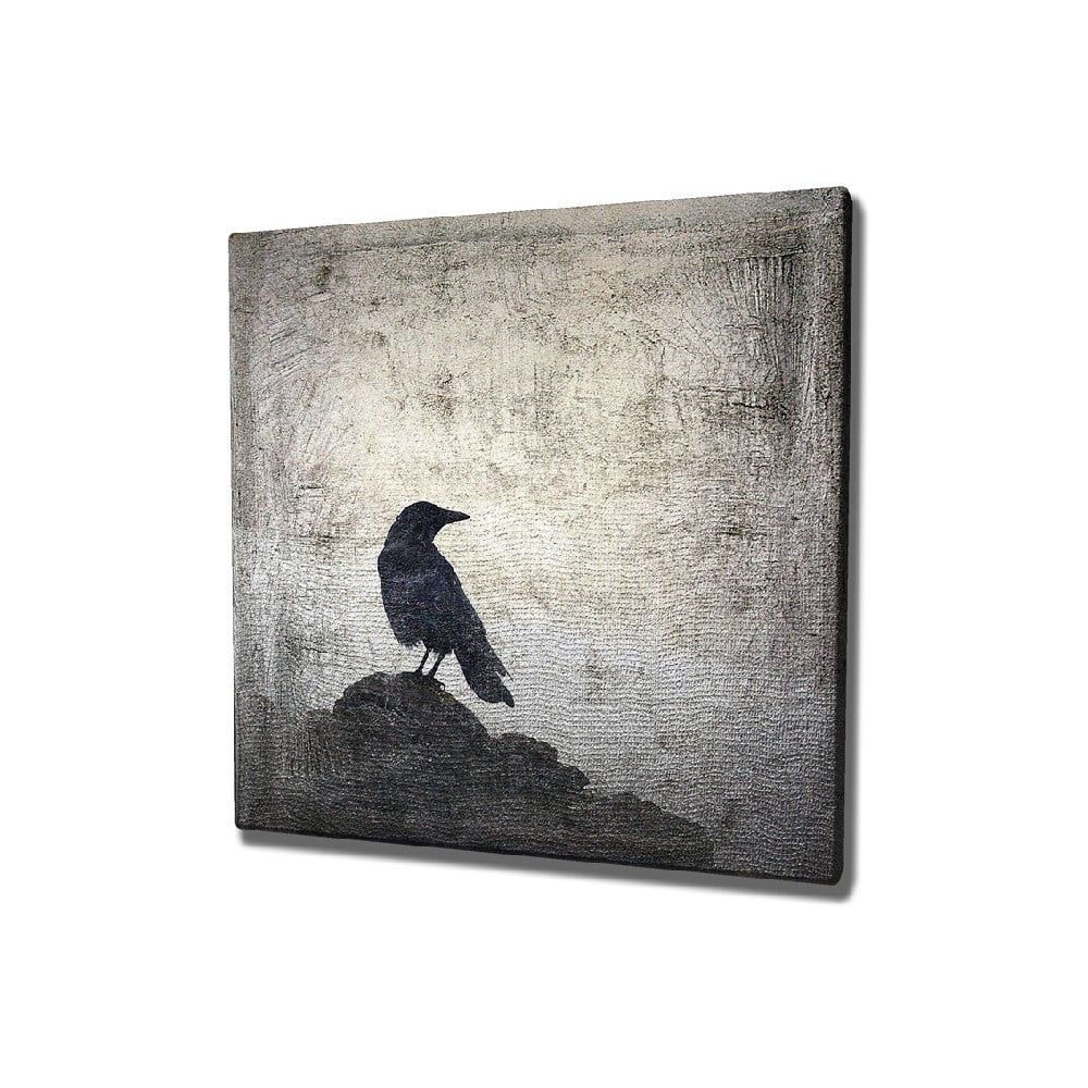 Nástenný obraz na plátne Black Bird, 45 × 45 cm - Bonami.sk