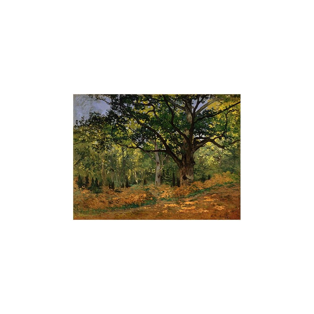 Reprodukcia obrazu Claude Monet - The Bodmer Oak, Fontainebleau Forest, 70 × 50 cm - Bonami.sk