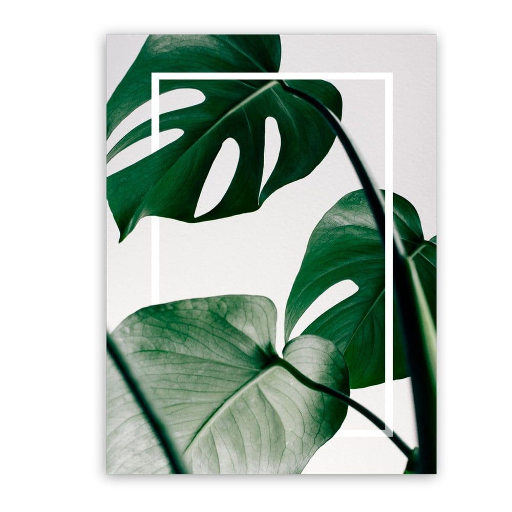 Obraz Styler Canvas Greenery Monstera, 60 × 80 cm - Bonami.sk
