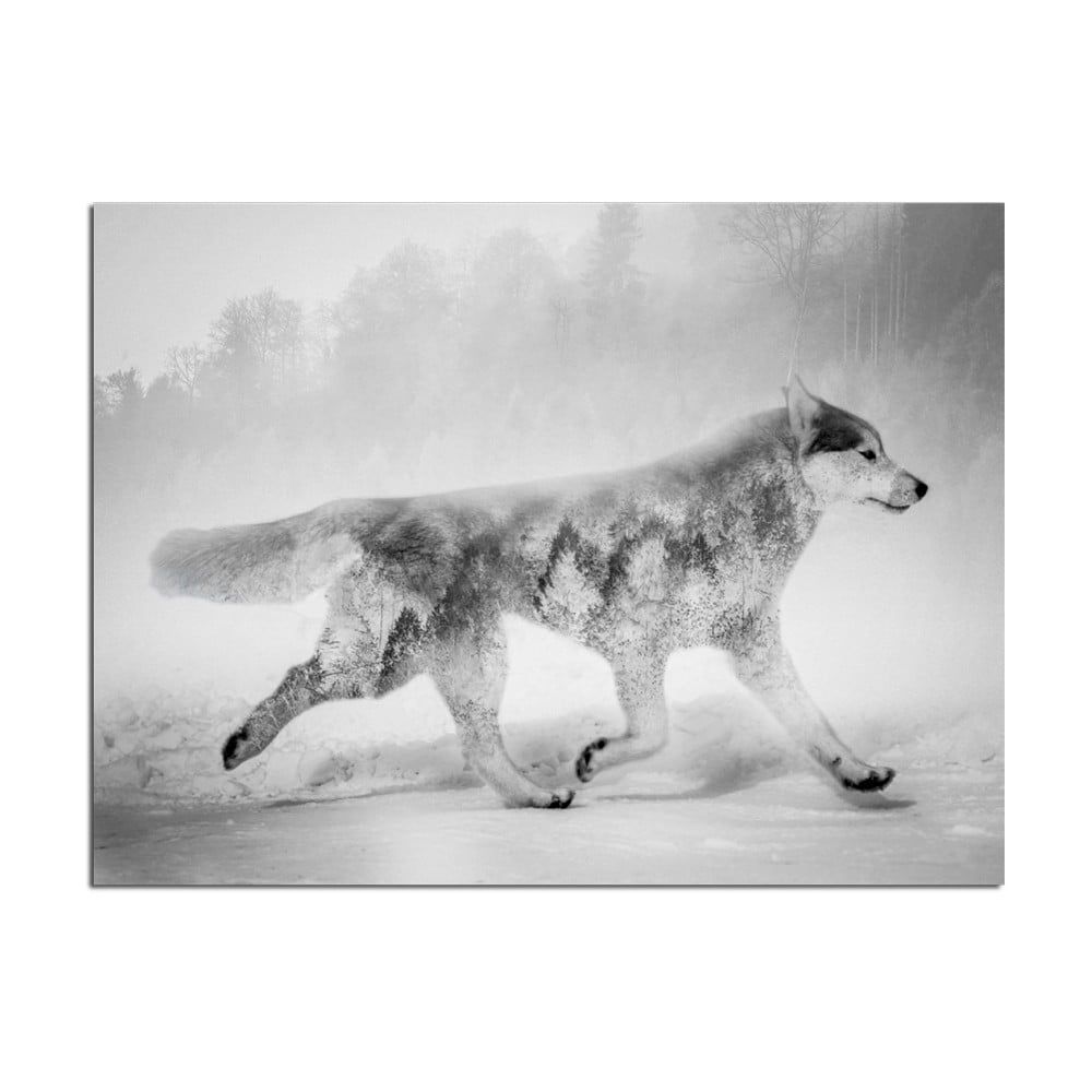 Obraz Styler Canvas Nordic Wolf, 75 × 100 cm - Bonami.sk