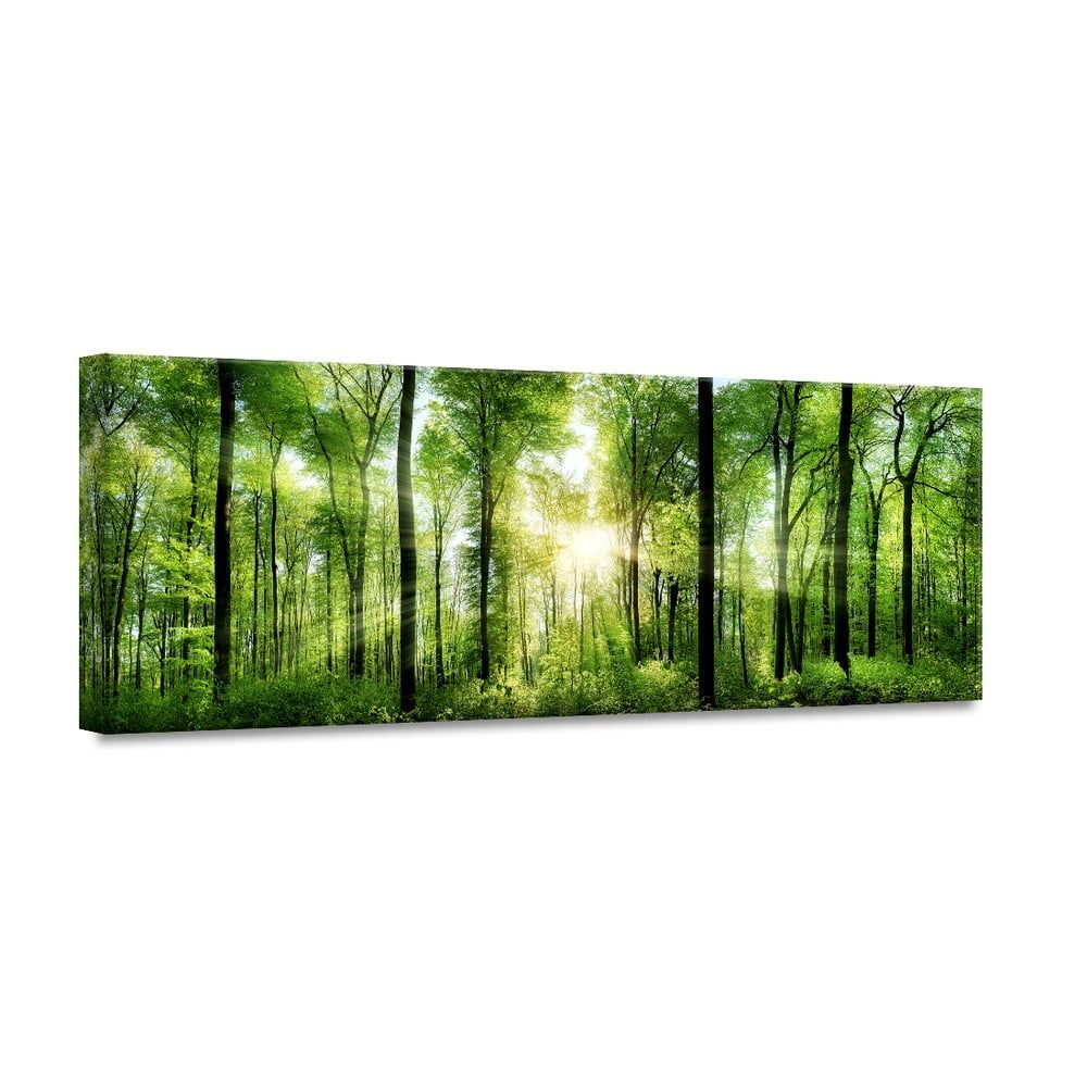 Obraz Styler Glasspik Nature Sunlight, 50 × 125 cm - Bonami.sk