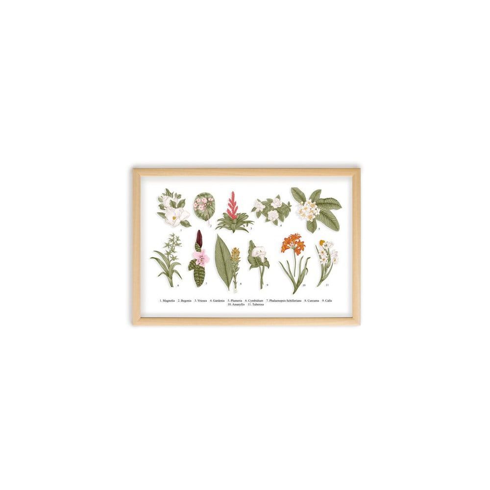 Obraz s rámom z borovicového dreva Surdic Botanical Flowers, 50 x 70 cm - Bonami.sk