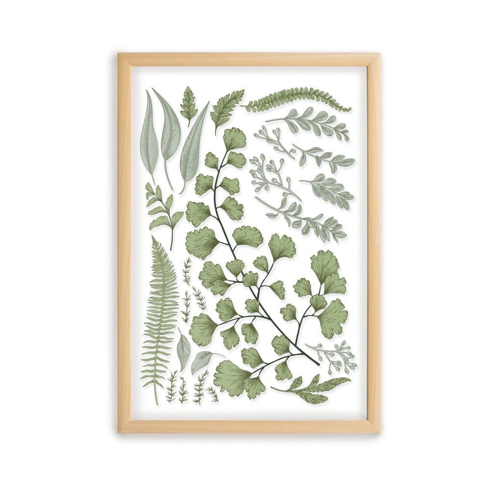Obraz s rámom z borovicového dreva Surdic Leafes Collection, 50 x 70 cm - Bonami.sk