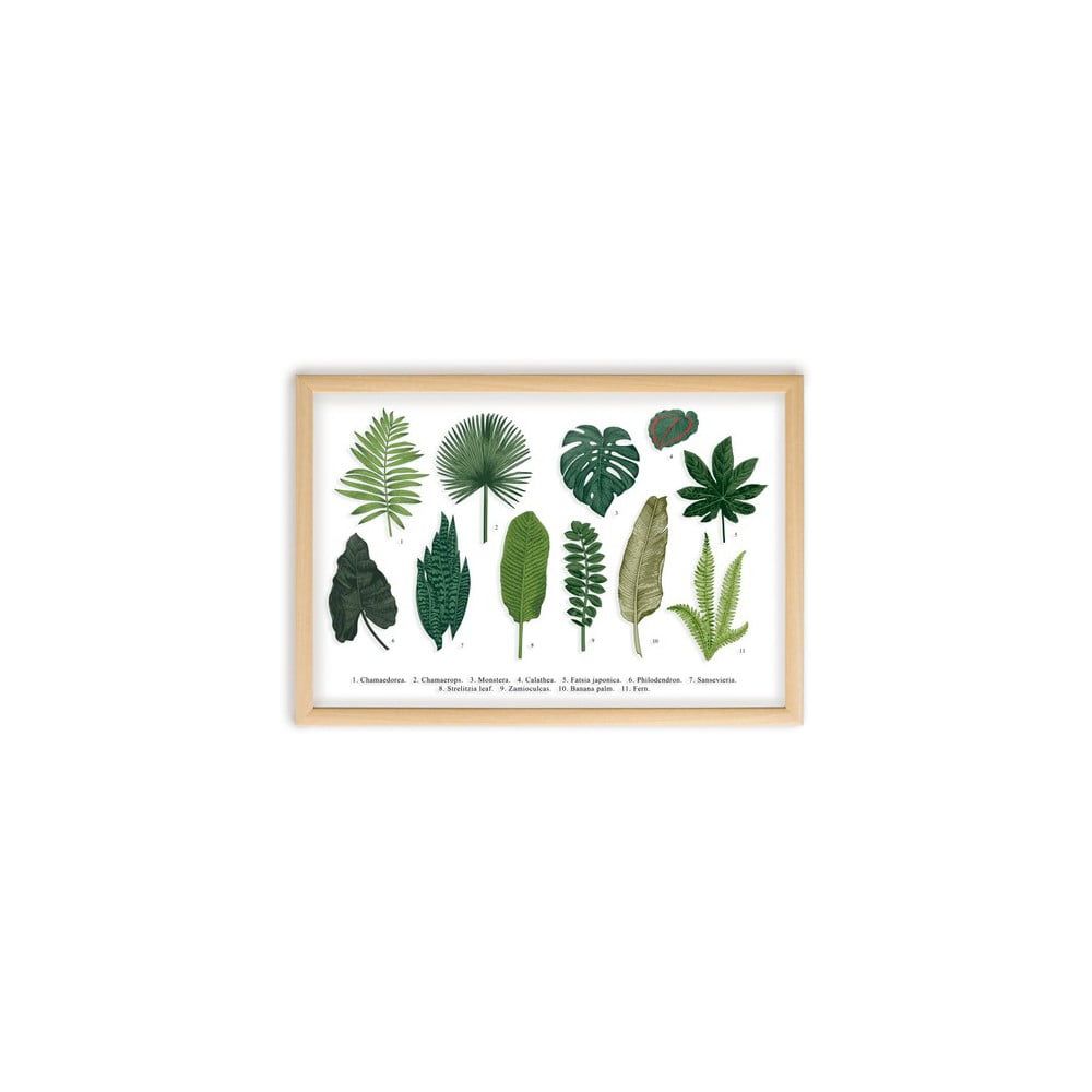 Obraz Surdic Leafes Guide, 50 × 70 cm - Bonami.sk