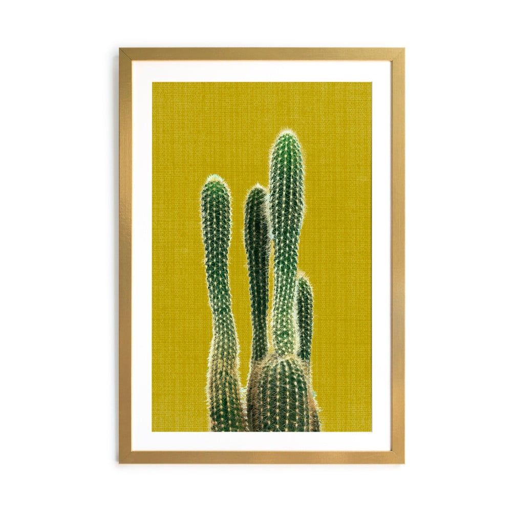 Obraz Surdic Mustard Background Cactus, 40 × 60 cm - Bonami.sk