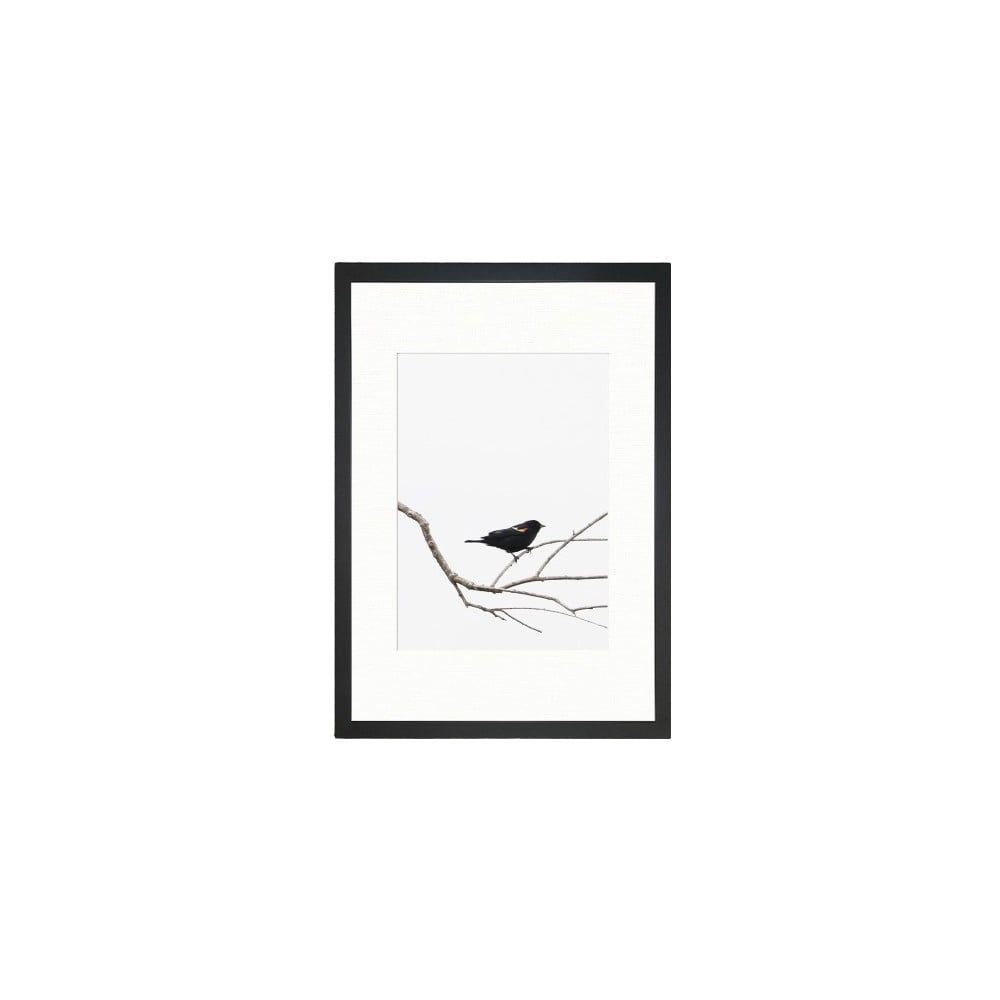 Obraz Tablo Center Birdy, 24 × 29 cm - Bonami.sk