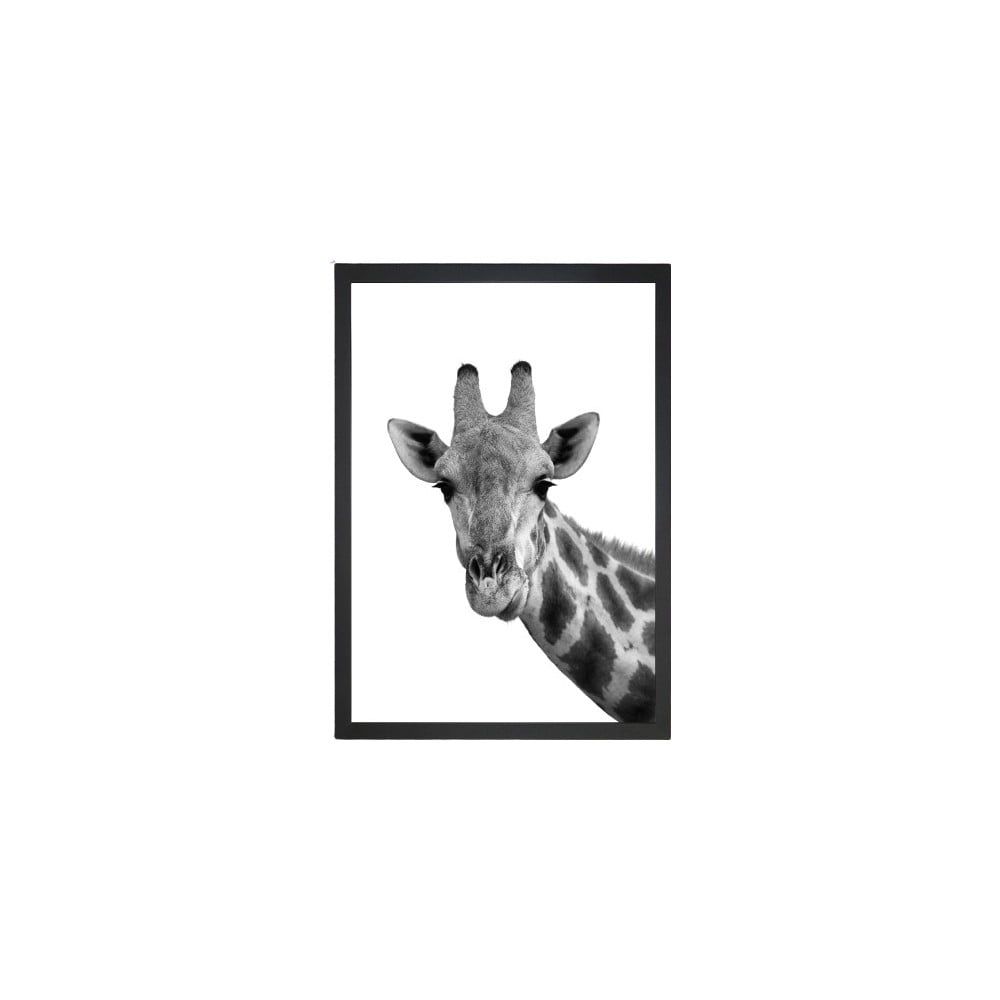 Obraz Tablo Center Giraffe Portrait, 24 × 29 cm - Bonami.sk