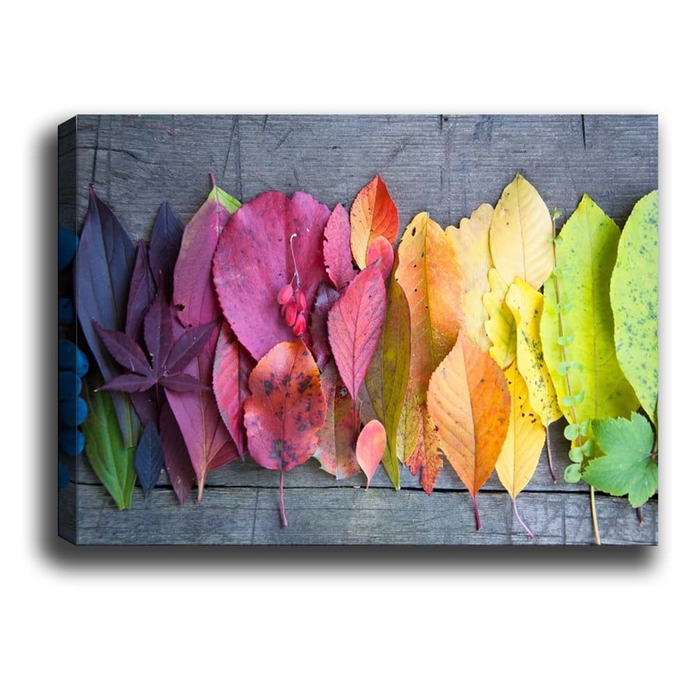 Obraz Tablo Center Gradient Leaves, 70 × 50 cm - Bonami.sk