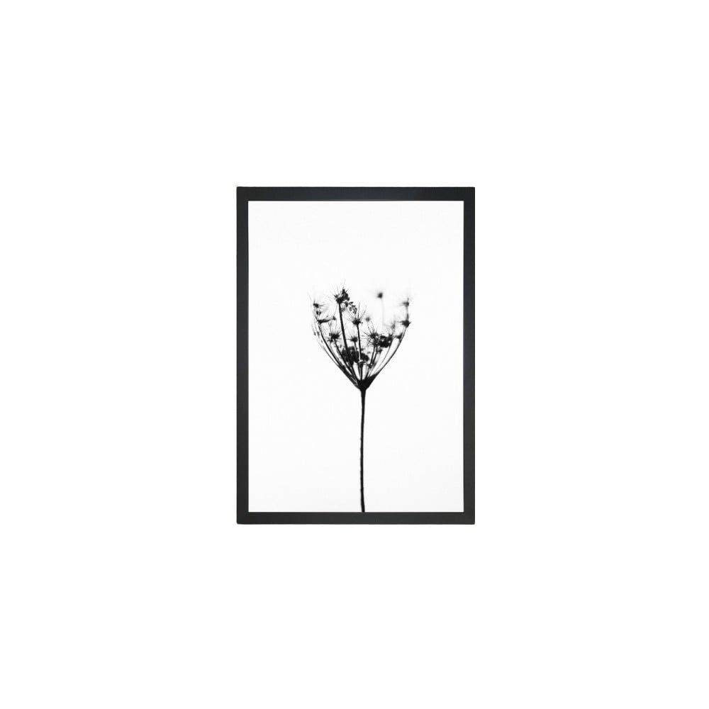 Obraz Tablo Center Misty Splender, 24 × 29 cm - Bonami.sk