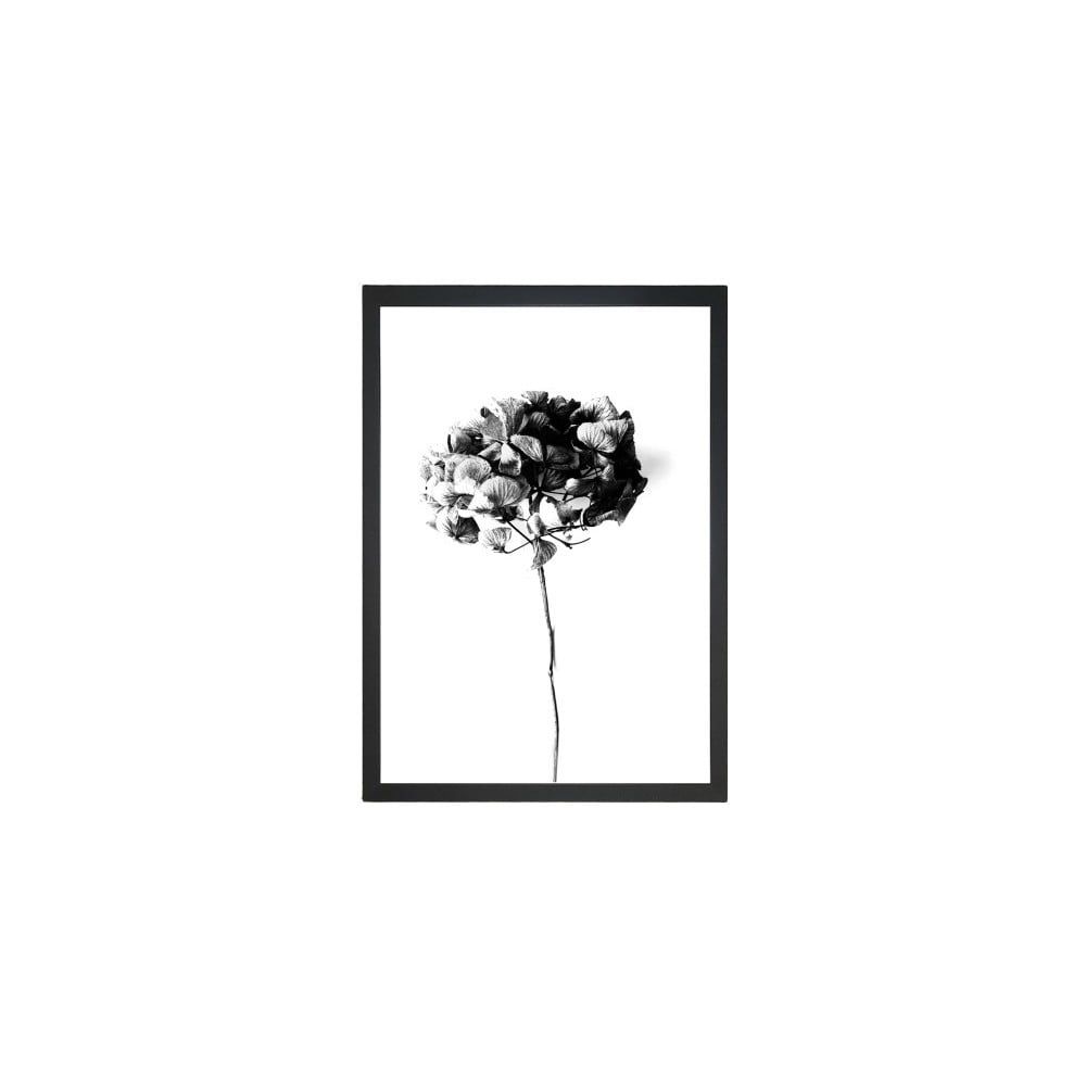 Obraz Tablo Center Velvet Flower, 24 × 29 cm - Bonami.sk