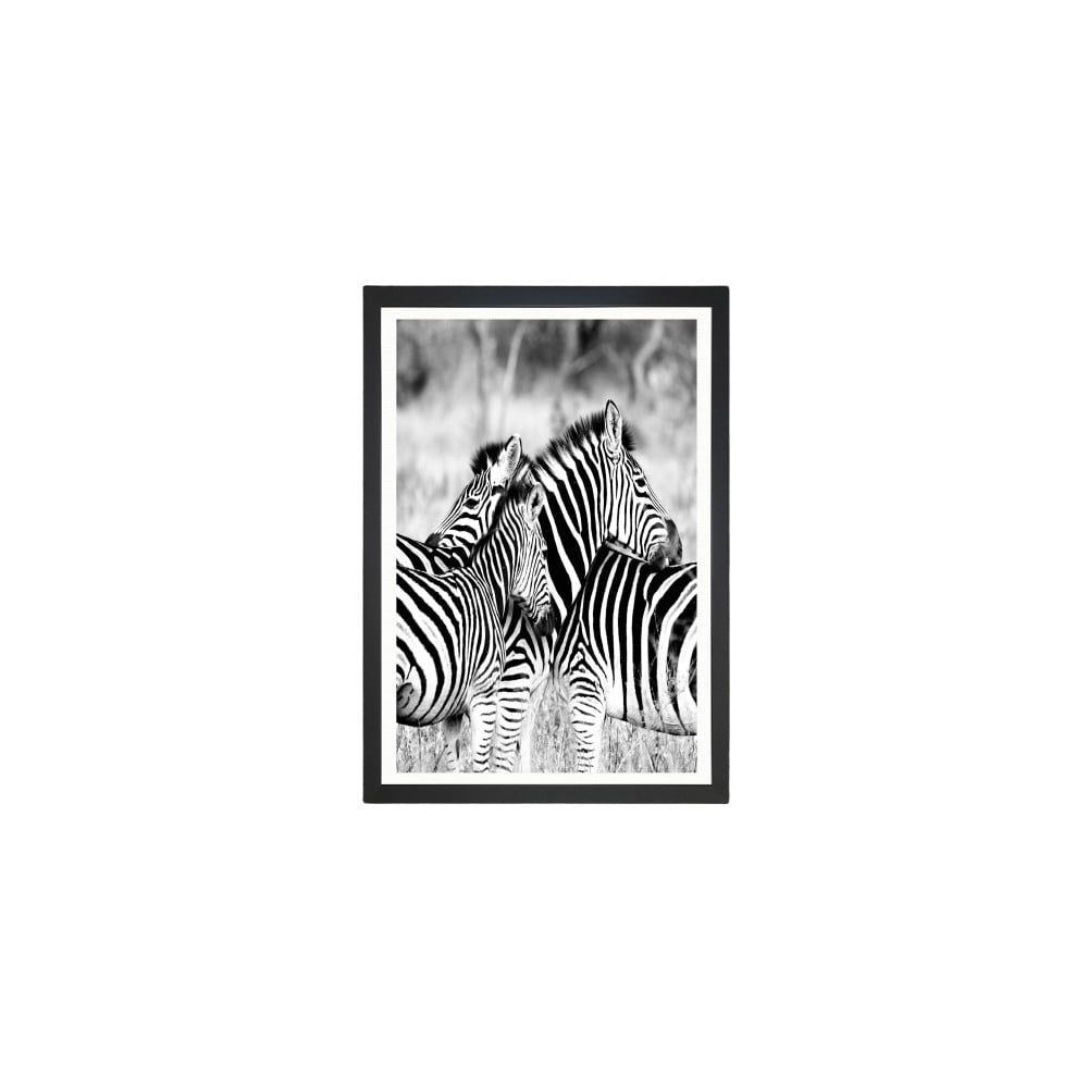 Obraz Tablo Center Zebras, 24 × 29 cm - Bonami.sk