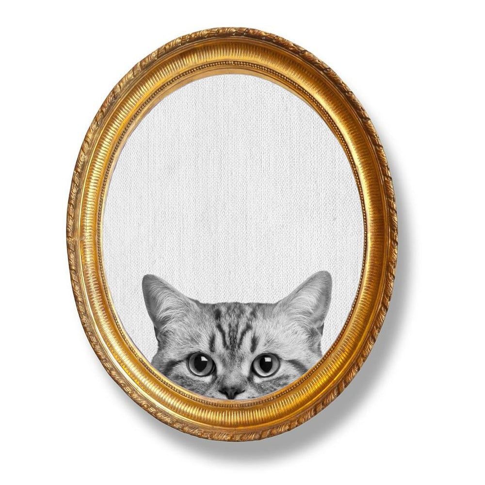 Oválný nástenný obraz Really Nice Things Cat, 40 x 50 cm - Bonami.sk