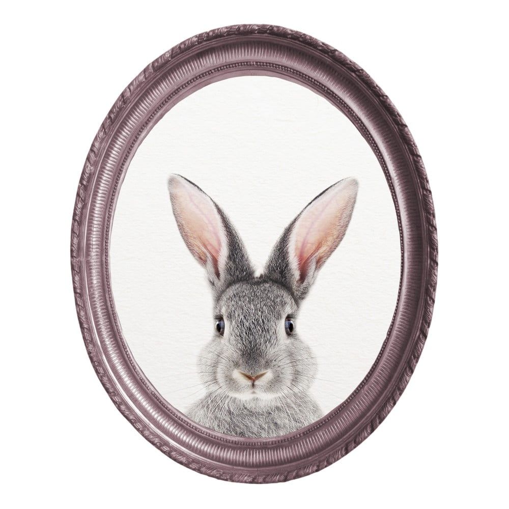 Oválny nástenný obraz Really Nice Things Rabbit, 40 x 50 cm - Bonami.sk