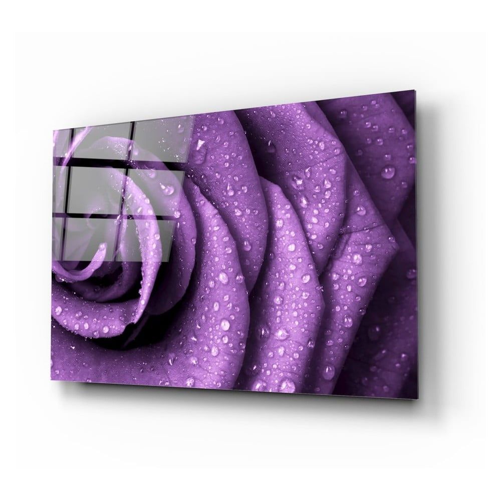 Sklenený obraz Insigne Purple Rose - Bonami.sk