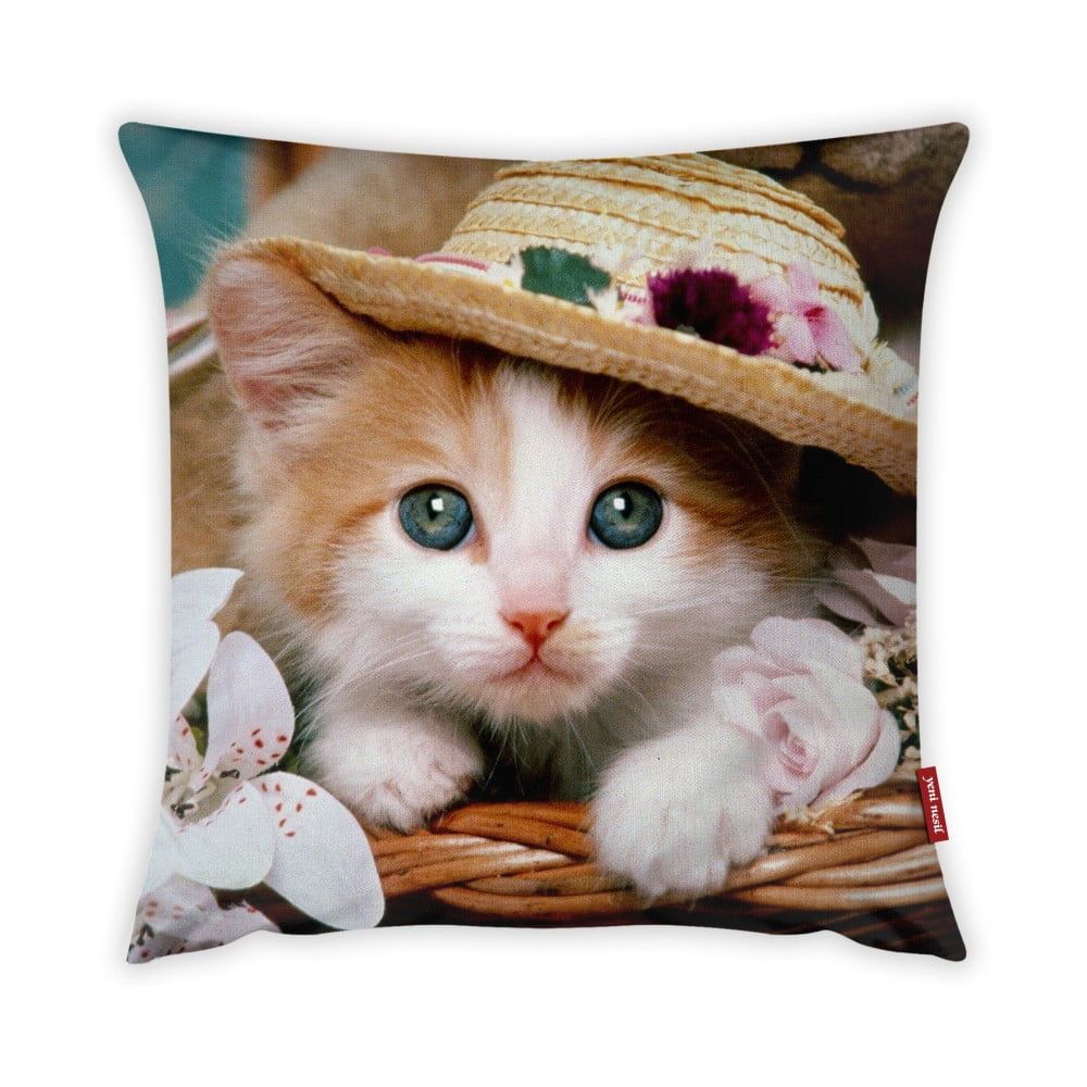 Obliečka na vankúš Vitaus Cute Kitten, 43 × 43 cm - Bonami.sk