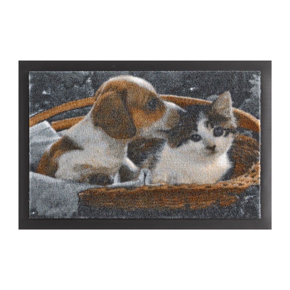 Rohožka Hanse Home Animals Dog and Cat, 40 × 60 cm - Bonami.sk