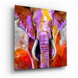Sklenený obraz Insigne Revenge of the Elephant, 40 x 40 cm