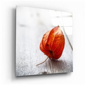 Sklenený obraz Insigne Dry Leaf, 40 x 40 cm Bonami.sk