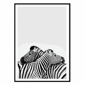 Obraz Piacenza Art Two Zebra, 30 × 20 cm