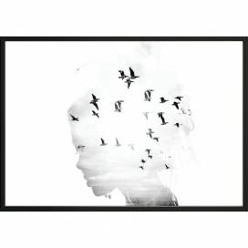Nástenný plagát v ráme GIRL/SILHOUETTE / BIRDS, 50 x 70 cm