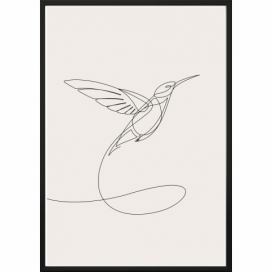 Nástenný plagát v ráme SKETCHLINE/HUMMINGBIRD, 40 x 50 cm