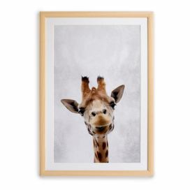 Nástenný obraz v ráme Surdic Giraffe, 30 x 40 cm