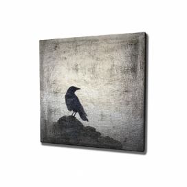 Nástenný obraz na plátne Black Bird, 45 × 45 cm Bonami.sk