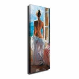 Nástenný obraz na plátne Window, 30 × 80 cm Bonami.sk