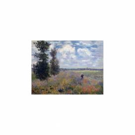 Reprodukcia obrazu Claude Monet - Poppy Fields near Argenteuil, 40 × 30 cm Bonami.sk