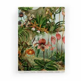 Obraz na plátne Surdic Jungle Flowers, 50 x 70 cm Bonami.sk