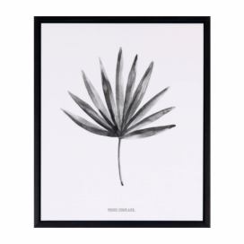Obraz sømcasa Palm, 25 × 30 cm