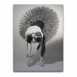 Obraz Styler Canvas Glam Balerina, 60 × 80 cm Bonami.sk