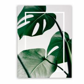 Obraz Styler Canvas Greenery Monstera, 60 × 80 cm