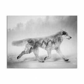 Obraz Styler Canvas Nordic Wolf, 75 × 100 cm Bonami.sk