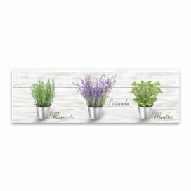 Obraz Styler Canvas Shabby Herbs, 27 × 75 cm