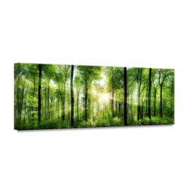 Obraz Styler Glasspik Nature Sunlight, 50 × 125 cm Bonami.sk